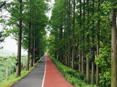 -上海长兴岛郊野公园