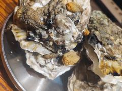 -蚝堡海鲜·威海菜·海肠捞饭·烧烤·亚洲吃蚝公司(幸福门店)