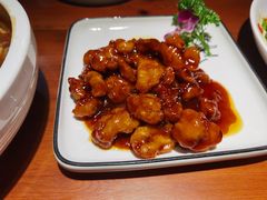 儿时糖醋里脊-老馆子·建德菜·山肴鱼鲜(海威新界店)