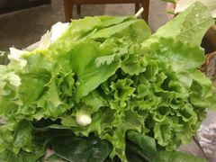 -马帮菜馆·美味野生菌
