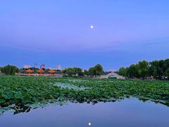 -长春市南湖公园