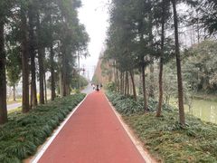 -上海长兴岛郊野公园