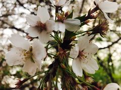 -金掌勺东北菜(格兰晴天店)