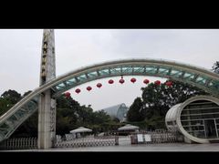 -南山植物园