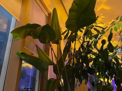-J·one Bistro吉萬酒厨·牛排