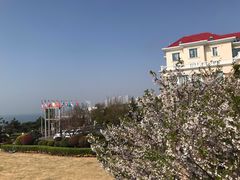 -青岛海景花园大酒店·粤海餐厅