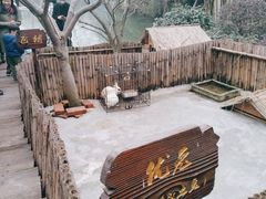 -太极禅苑
