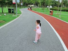 -上海长兴岛郊野公园