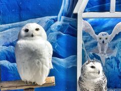 -成都浩海立方海洋公园