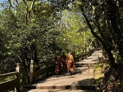 -普陀山风景区-佛顶山