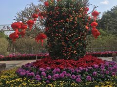 -广东茂名森林公园