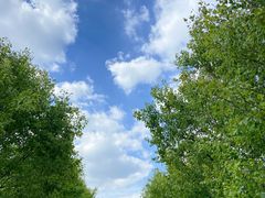 -花开海上生态园