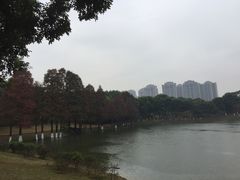 -东莞植物园
