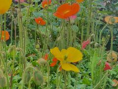 -人民公园(罗湖区)