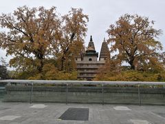 -北京石刻艺术博物馆(五塔寺)