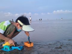 -南汇嘴观海公园