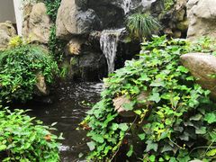 -上海市皮肤病医院(武夷路院区)