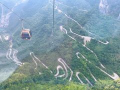 -印象鲵宴·张家界地标美食名片(溪布街店)