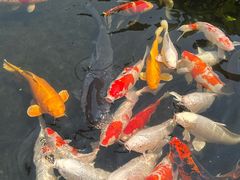 -聚福宝合苑食府(南头镇店)