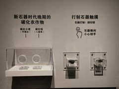 -北京大学赛克勒考古与艺术博物馆