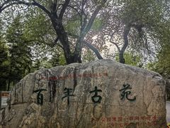 -龙沙公园