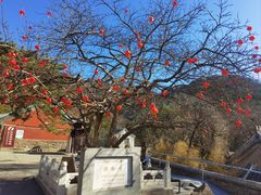 -潭柘寺景区