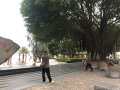 -黄金海岸环岛路