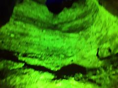 -寻龙山风景旅游区