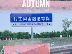 -同里国家湿地公园