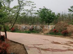 -古柏渡飞黄旅游区