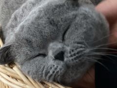 -熊小胖宠物生活馆(天华园店)