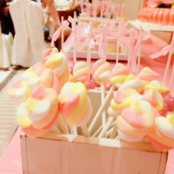 -白金汉爵大酒店·宴会厅(相城店)