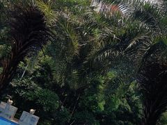 -深圳观澜格兰云天国际酒店