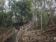 -仙岛湖旅游风景区
