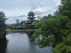 -桂湖森林公园