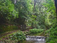 -云南屏边大围山国家公园