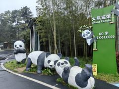 -安吉竹博园