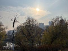 -江滩湿地公园