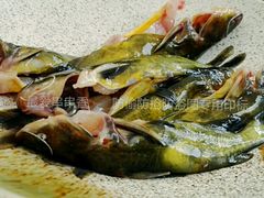 android_upload_pic-大妙火锅·非物质文化遗产(东湖公园店)