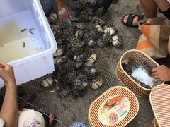 -焦岗湖旅游度假区