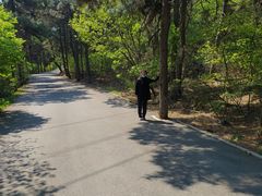 -沈阳辉山风景区