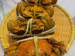 -丫丫蟹庄·苏式园林农家乐·阳澄湖大闸蟹(阳澄湖莲花岛店)