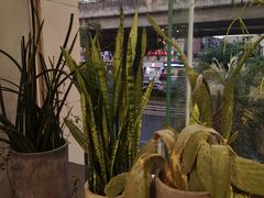 景观位-我的四季意大利餐厅(春天百货店)