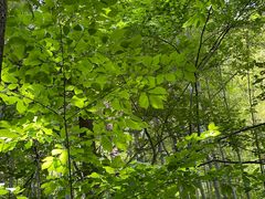 -敬亭山风景名胜区