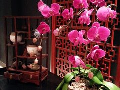2015-01-14-19-59-55_deco-海天楼中餐厅(天津泛太平洋店)