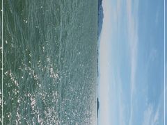 -演武大桥观景平台