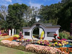 -上海共青森林公园