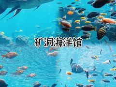 -长鹿旅游休博园