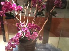 -上海光大会展中心国际大酒店
