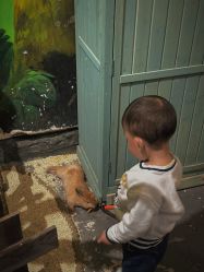 -Zoolung Zoolung动物主题公园(海信广场店)